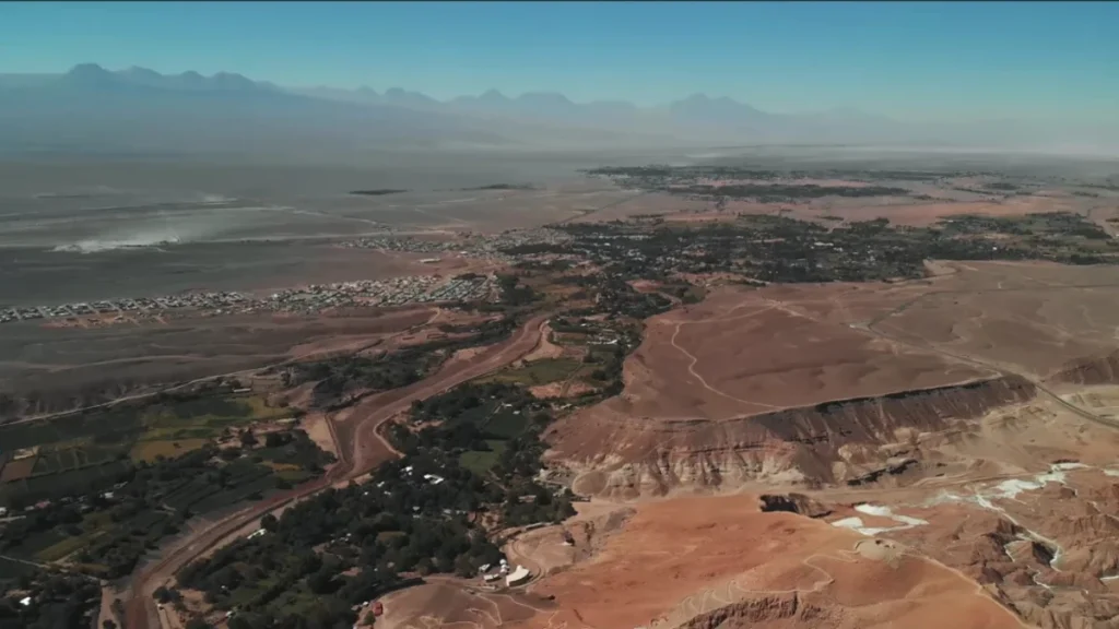 Grama alta balançando no Deserto de Atacama com montanhas cobertas de neve ao fundo.