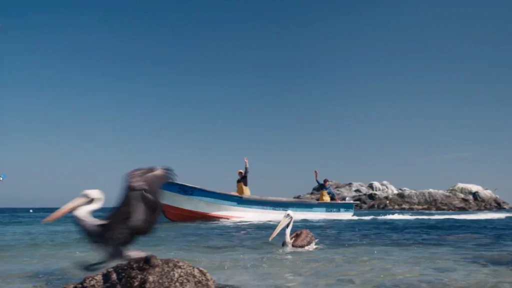 Navegação na Patagônia com pescadores e pelicanos.