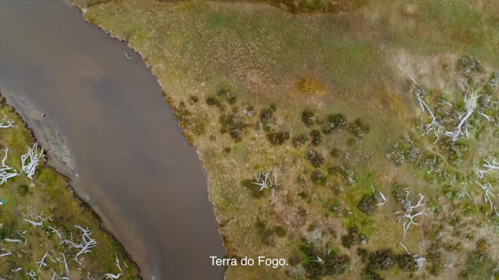 Guanacos subindo uma colina acentuada da Patagônia