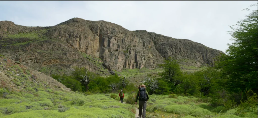 Flores amarelas da Patagônia com montanhas ao fundo