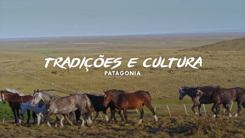Cavalos caminhando pelas planícies da Patagônia