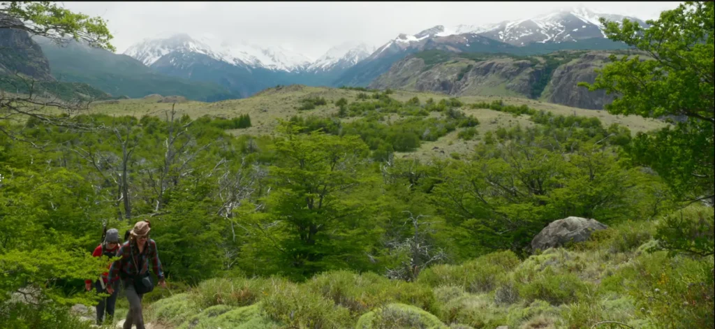 Vista do Parque Nacional Los Glaciares com montanhas e vegetação