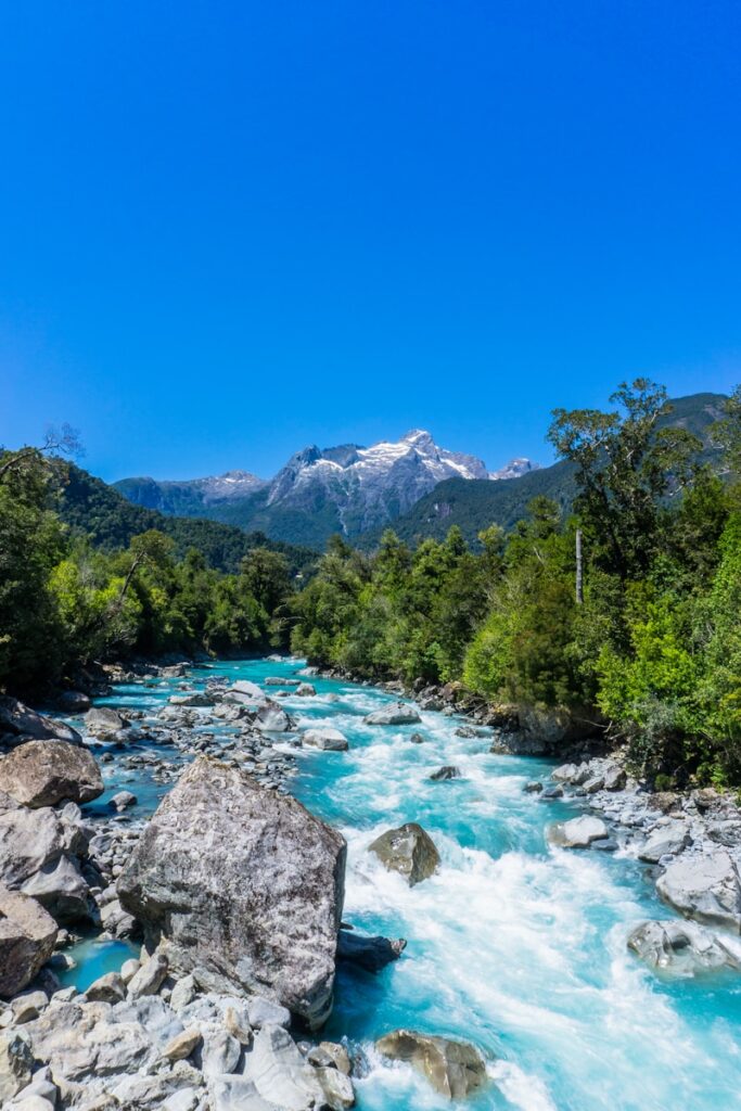 árvores verdes perto do rio sob o céu azul durante o dia