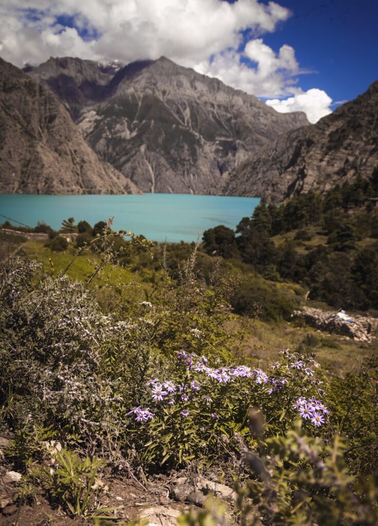 a lake surrounded by mountains