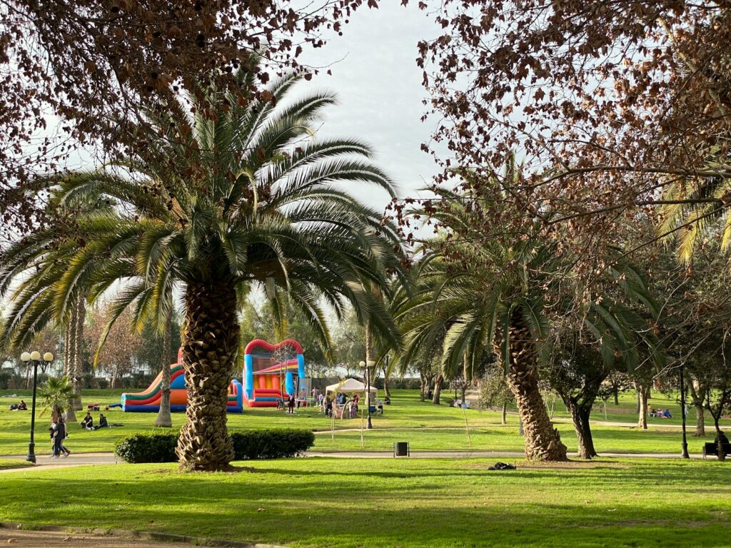 palmeiras em um parque com um escorregador ao fundo