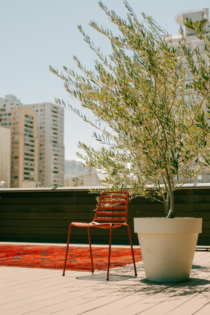 uma cadeira ao lado de um vaso de plantas em cima de um soalho de madeira