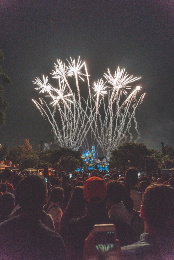 grupo de pessoas de pé a assistir à exibição de fogos de artifício