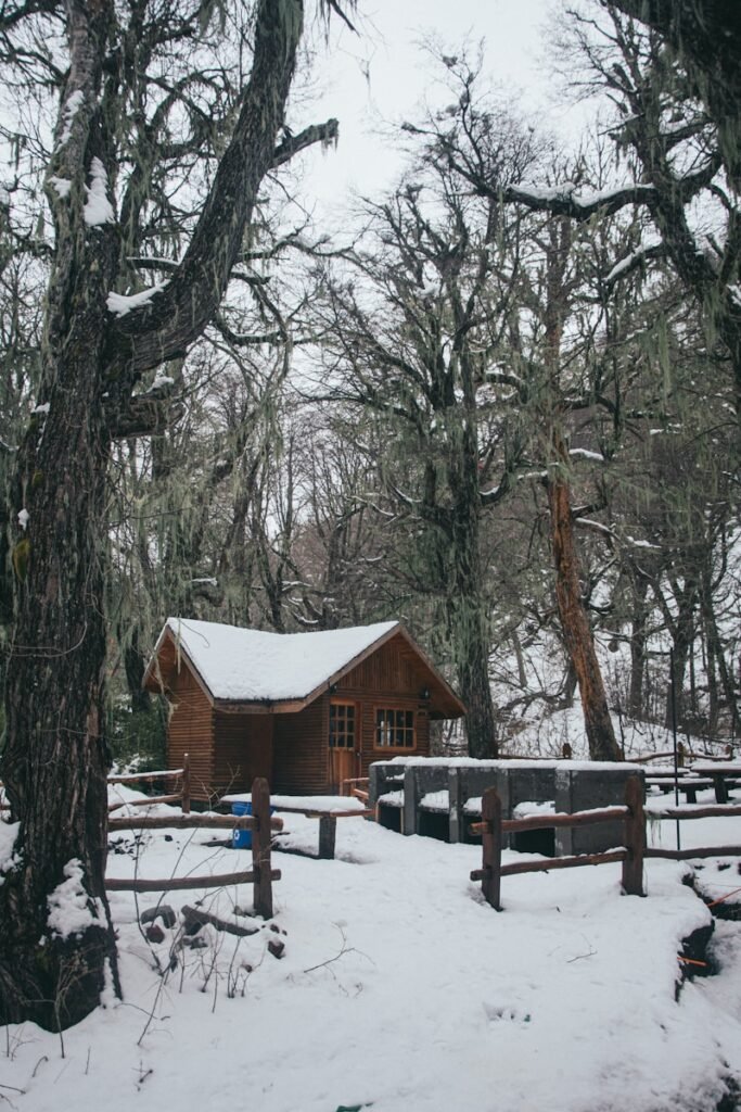 uma cabana na floresta coberta de neve