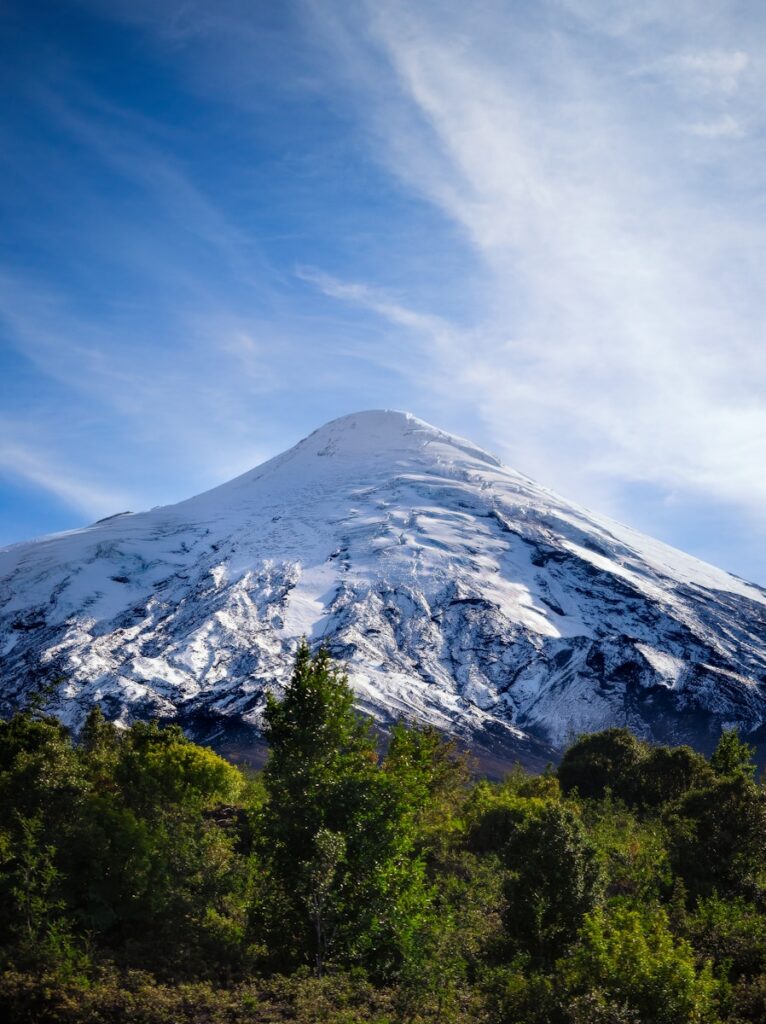 uma grande montanha coberta de neve elevando-se sobre uma floresta