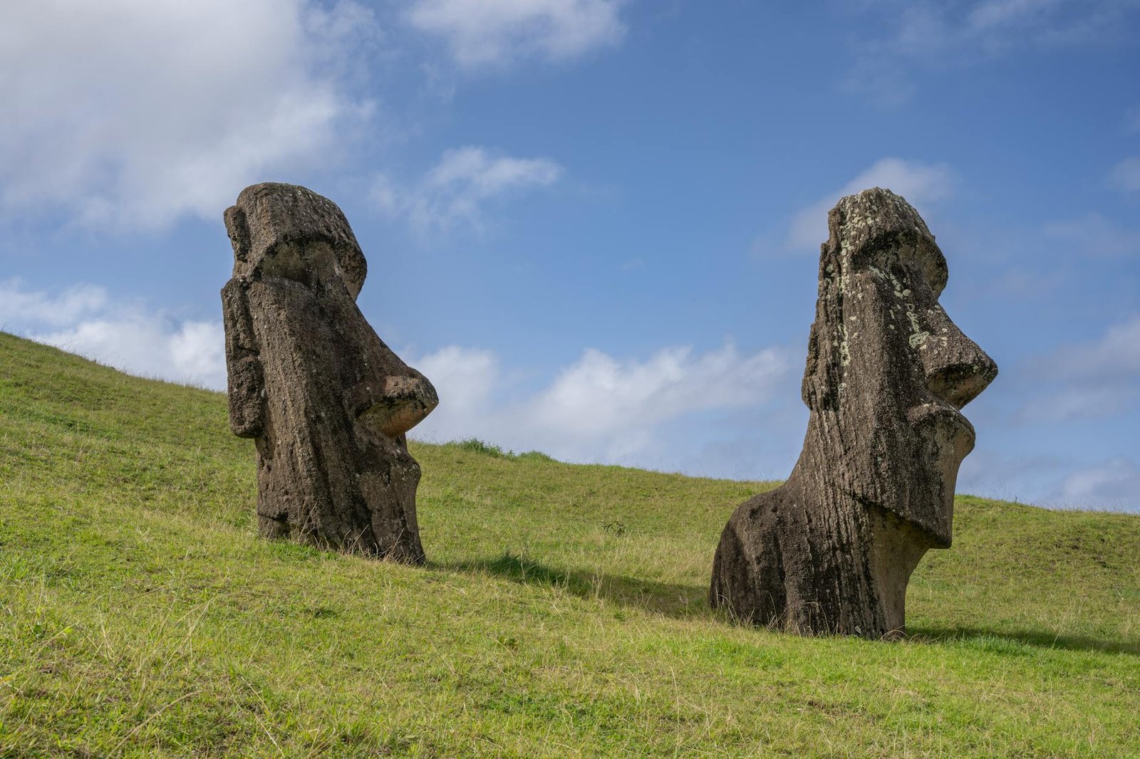majestic moai statues on easter island hillside