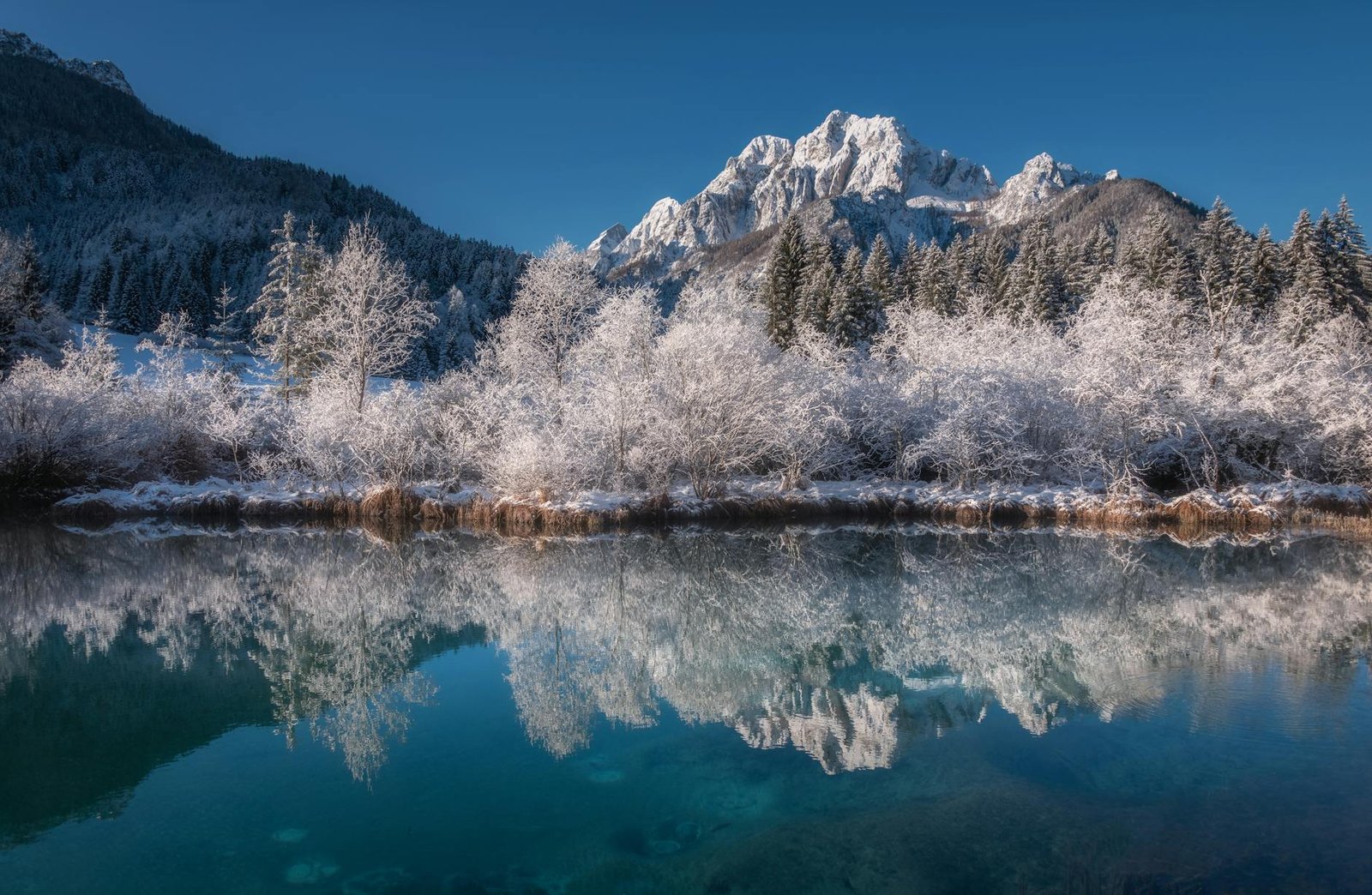 mountains and tress covered with snow beside water