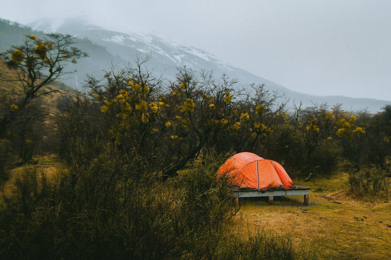 foto de tenda cercada por plantas