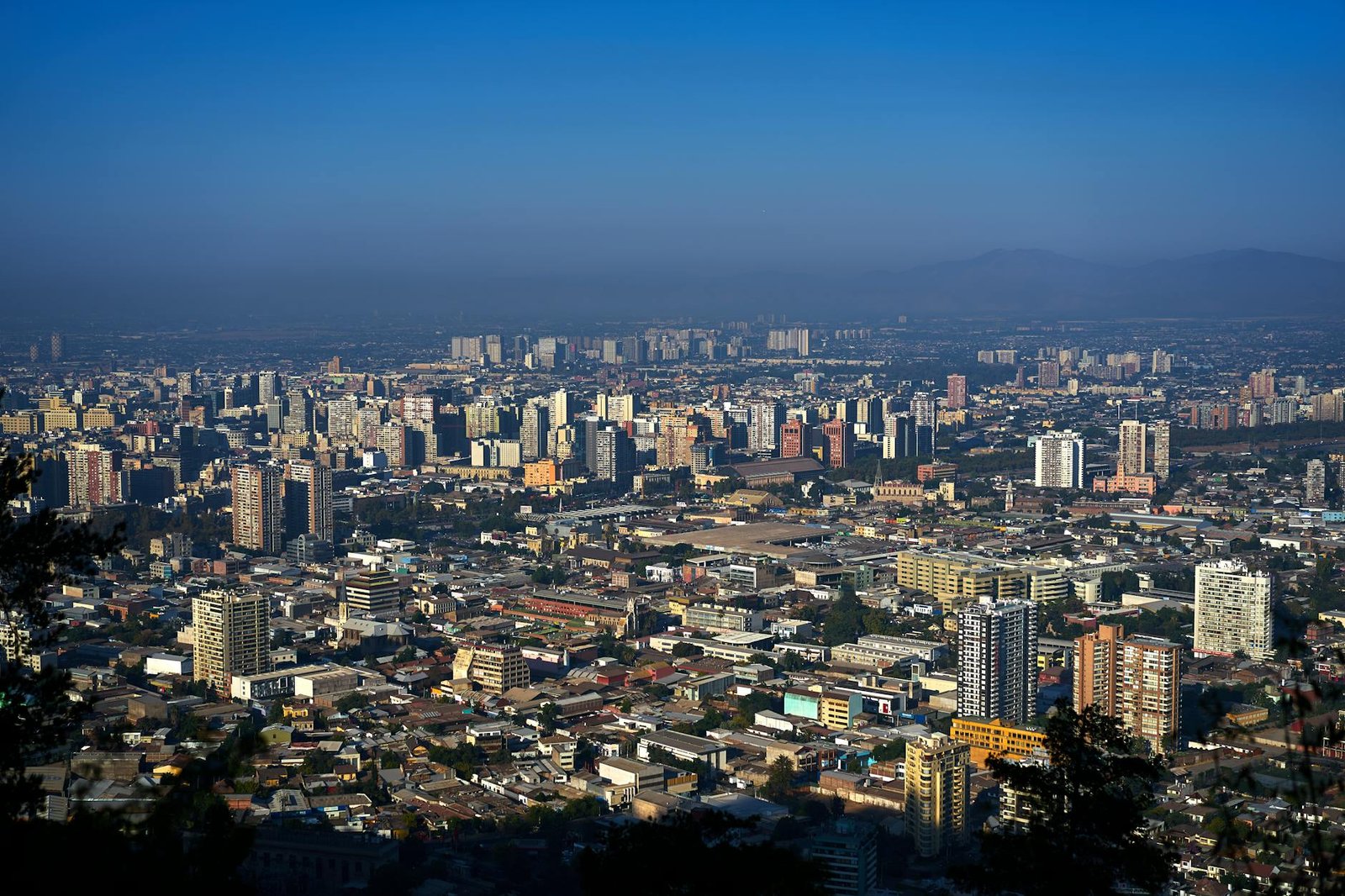 foto da vista superior de edifícios de concreto