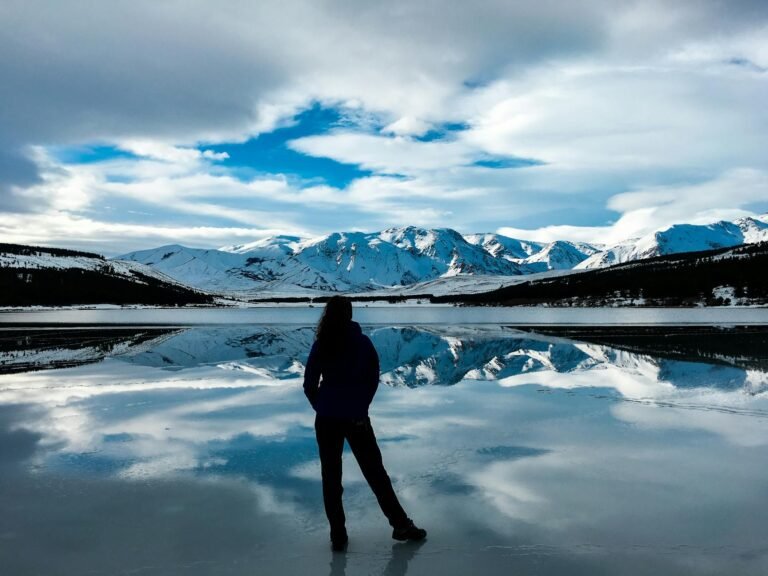 silhouette photo of woman facing snow capped mountain