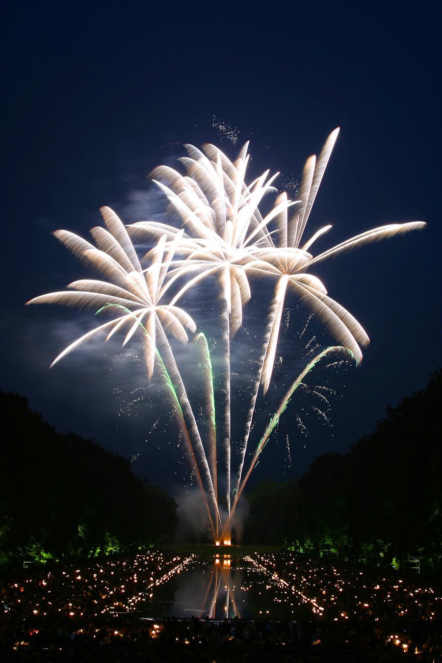 exibição de fogos de artifício durante a noite