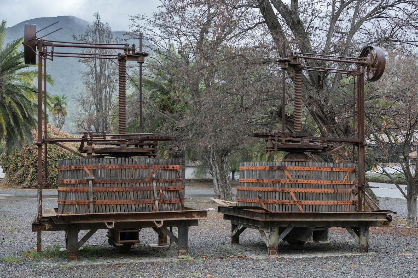 prensas de vinho vintage em um jardim de Santiago