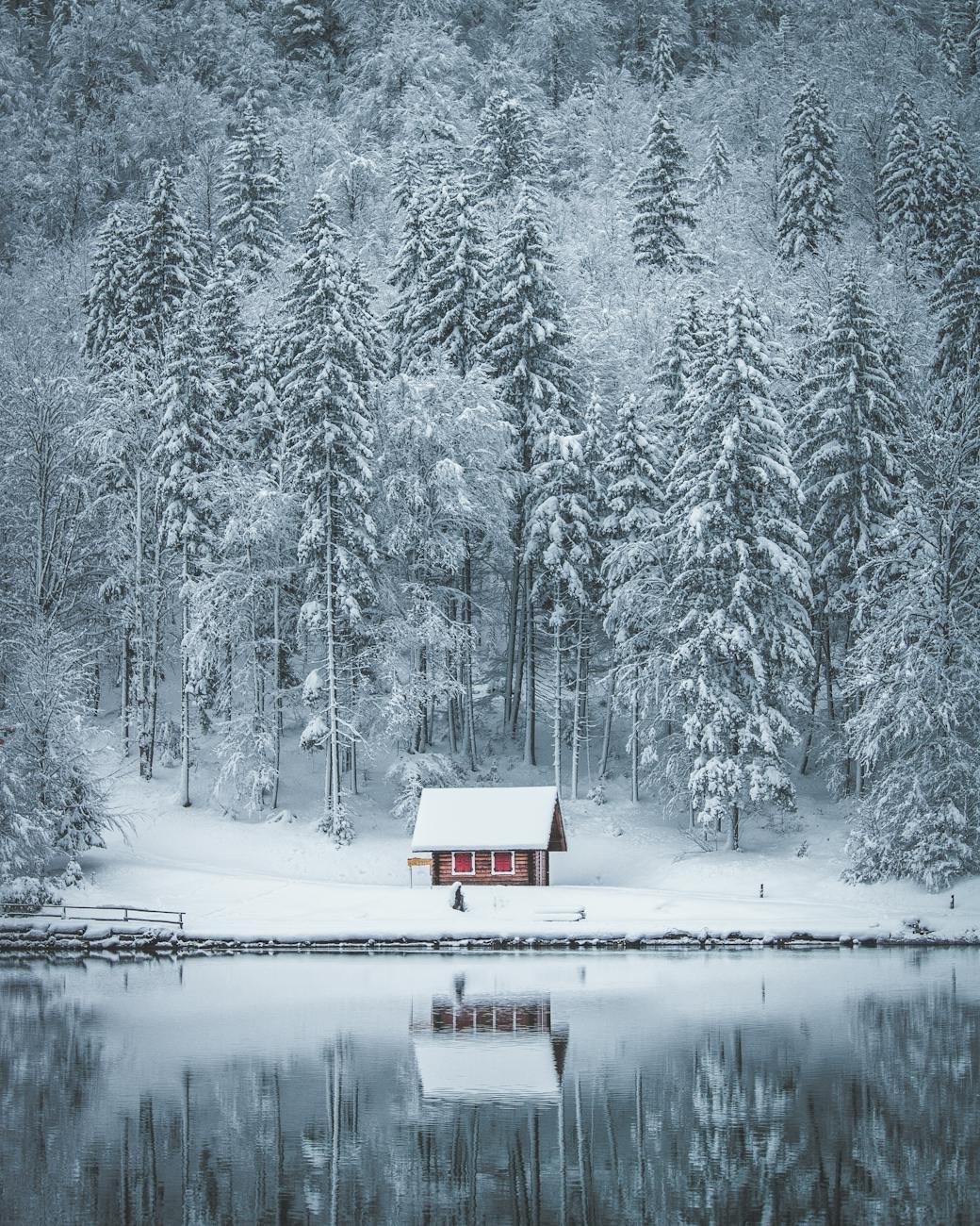 casa campo e árvore coberta de neve perto de corpo d'água
