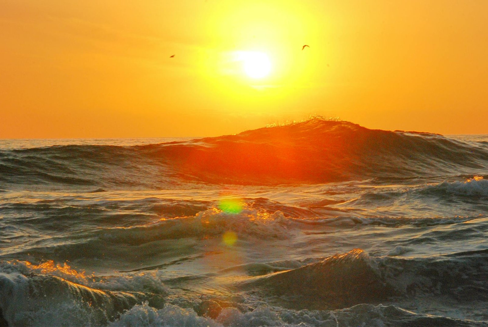 fotografia de ondas do mar durante a hora dourada