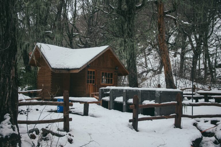 uma cabana na floresta coberta de neve