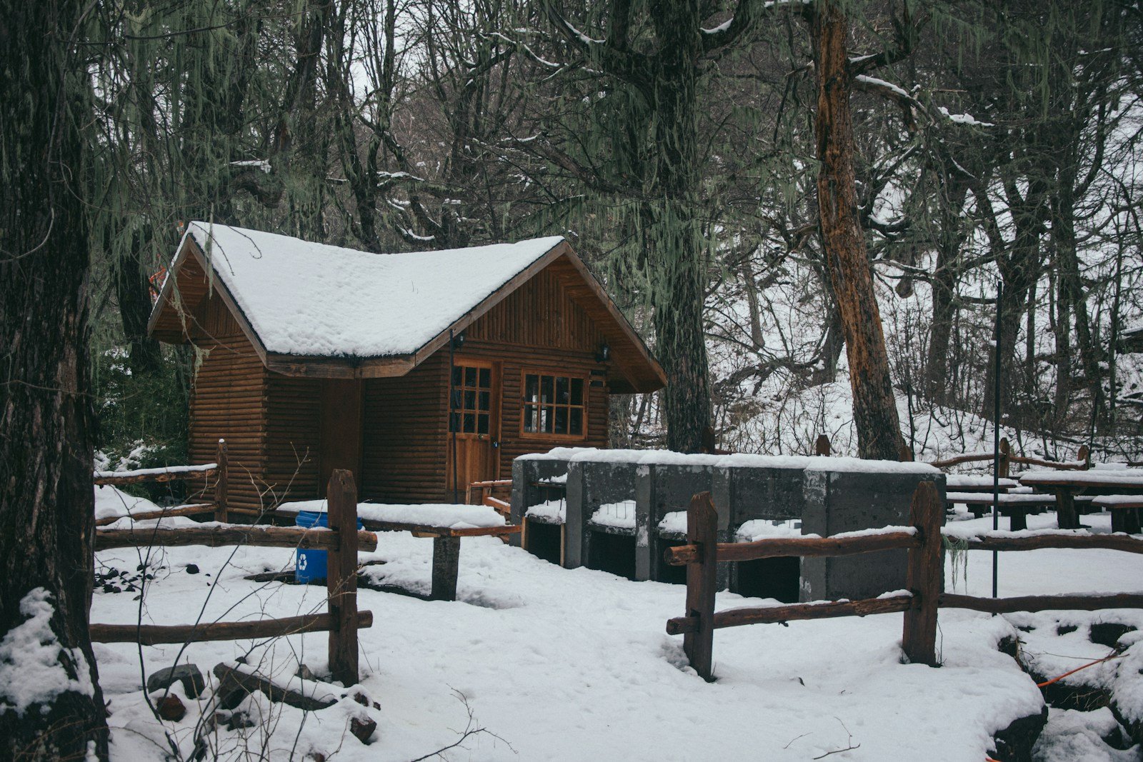 uma cabana na floresta coberta de neve