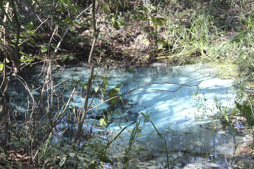 Nascente de água azul-turquesa cristalina cercada por mata em Bonito, MS, capital do turismo ecológico do Brasil.