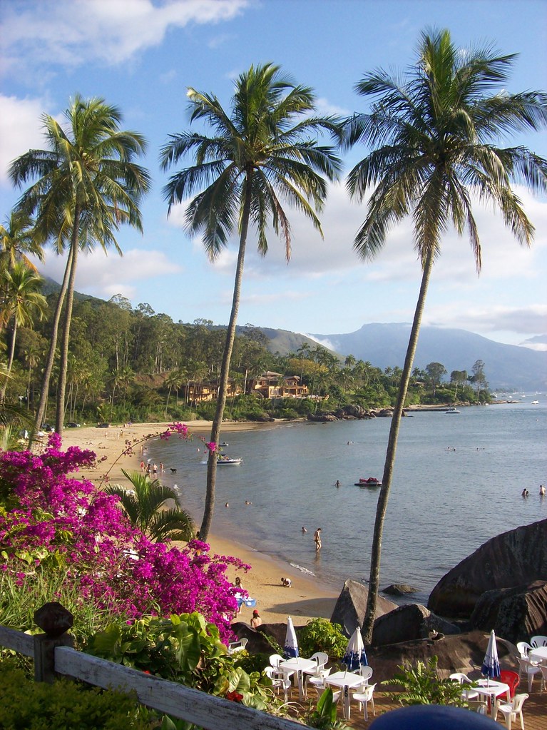 Praia paradisíaca em Ilhabela com coqueiros altos, flores bougainville rosa em primeiro plano e mar calmo, excelente para famílias.