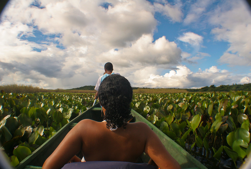 Passeio de canoa nos Marimbus da Chapada Diamantina, uma experiência inesquecível em roteiros turísticos no Brasil.
