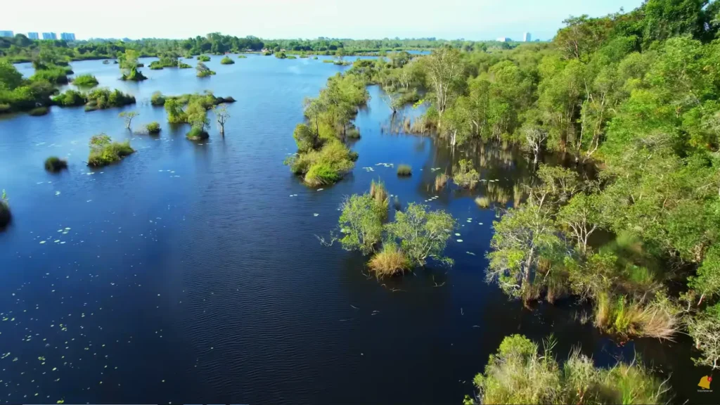 Carro atravessando ponte sobre rio na Estrada Transpantaneira passeios natureza brasil.