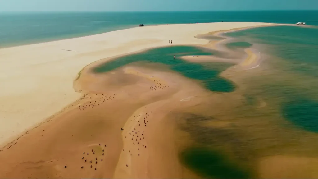 Banco de areia extenso com pássaros e piscinas naturais em passeios natureza Brasil.