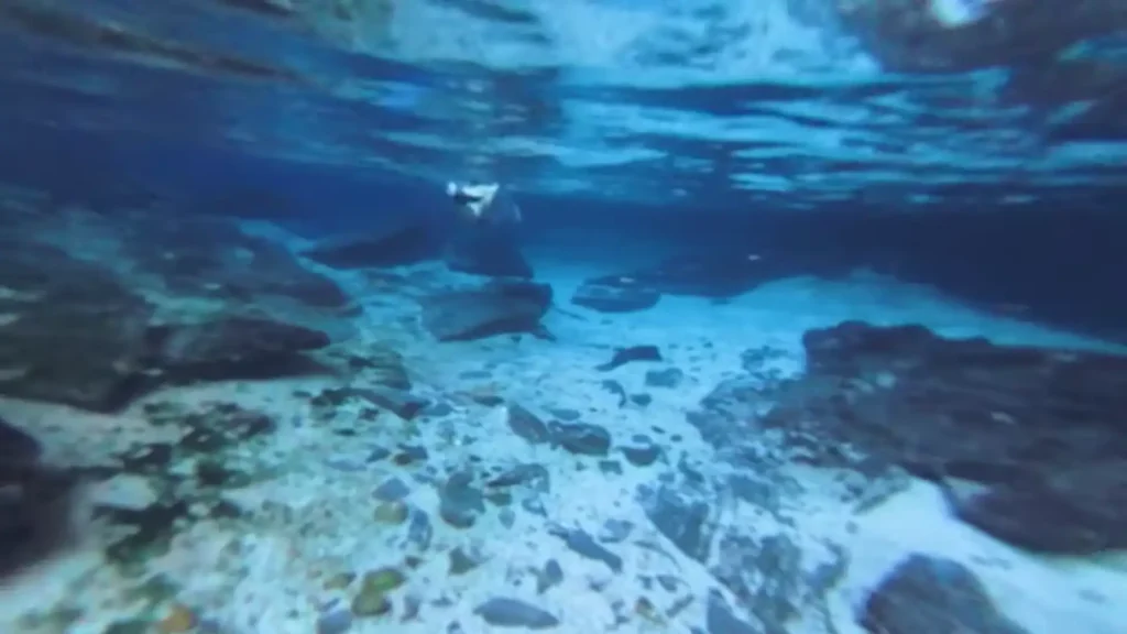 Mergulho subaquático mostrando o fundo de pedras e a água transparente de um rio.