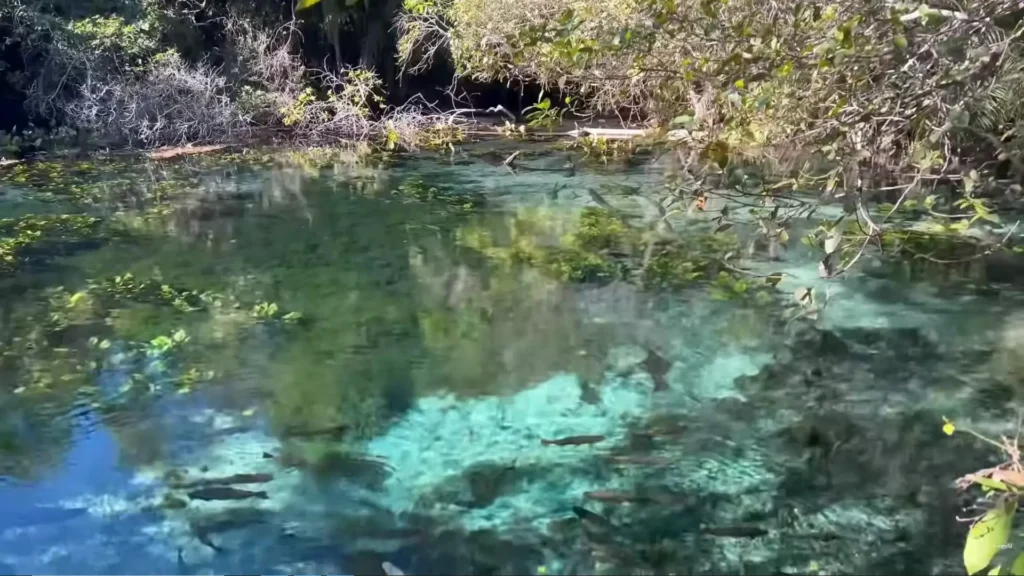 Interior da Gruta do Lago Azul com feixe de luz iluminando a água turquesa.