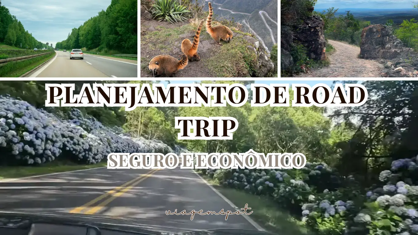 Montagem de imagens com rodovias cênicas, quatis e estradas de terra, com o título "Planejamento de Road Trip Seguro e Econômico".
