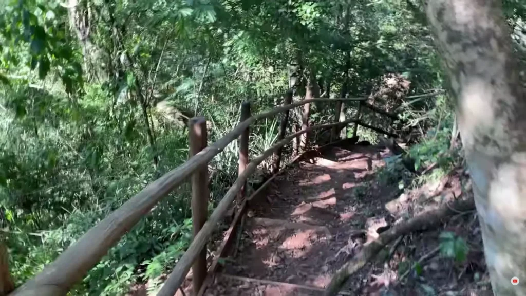 Trilha com escadas de madeira atravessando a mata preservada em destino de turismo ecológico brasil.