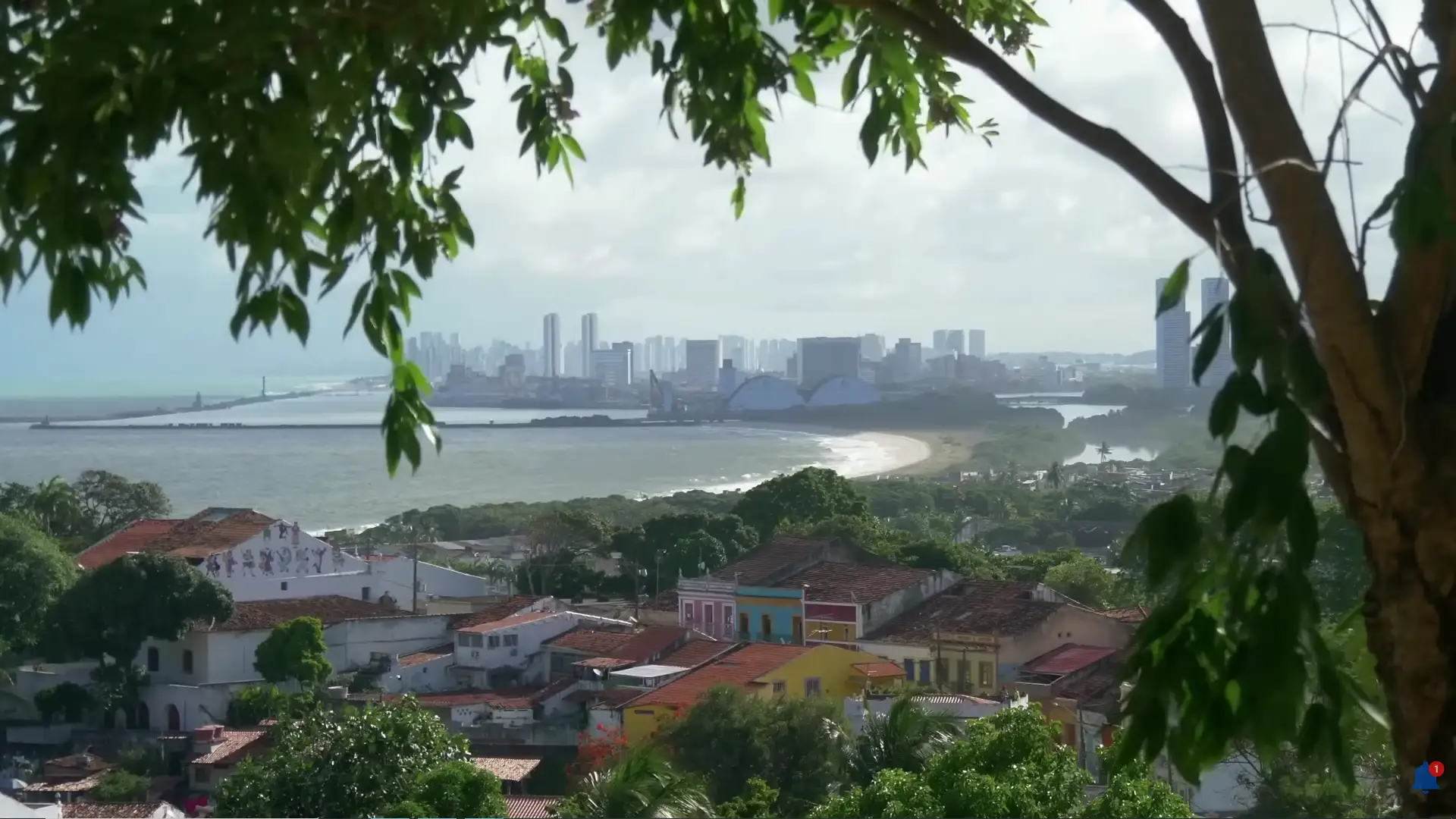 Vista panorâmica do skyline moderno de Recife e do mar, observada a partir do Alto da Sé em Olinda, emoldurada por galhos de árvores.