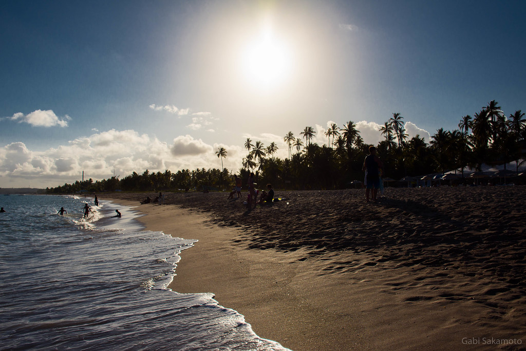  Praia de Maragogi em Alagoas com areia clara, coqueiros e mar calmo sob o sol forte.