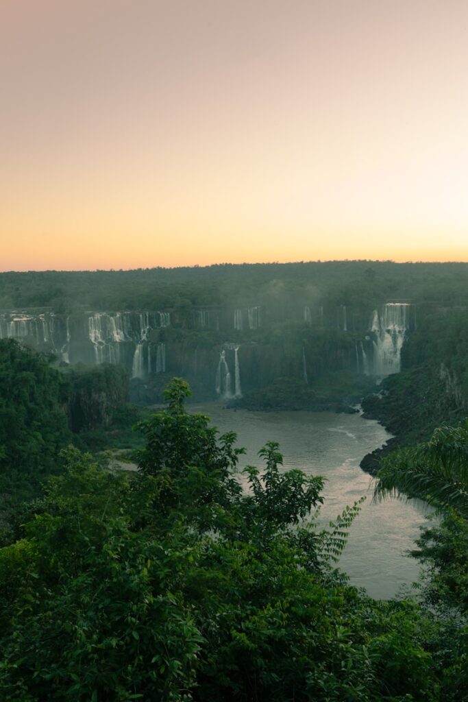 a large body of water surrounded by trees