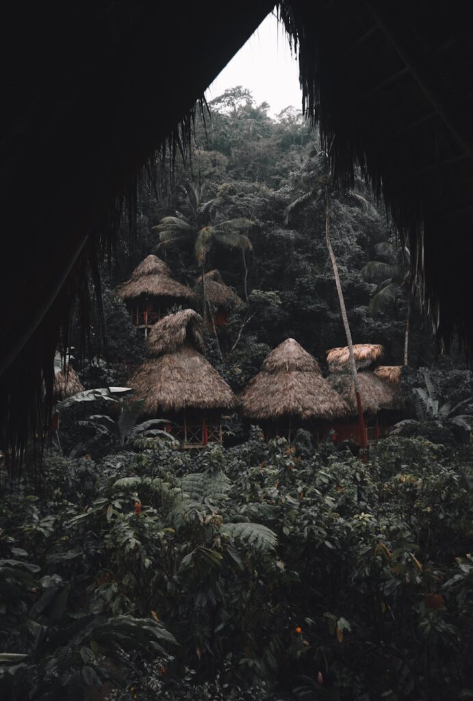 Cabanas rústicas de lodge na selva amazônica cercadas por floresta densa para experiência imersiva.