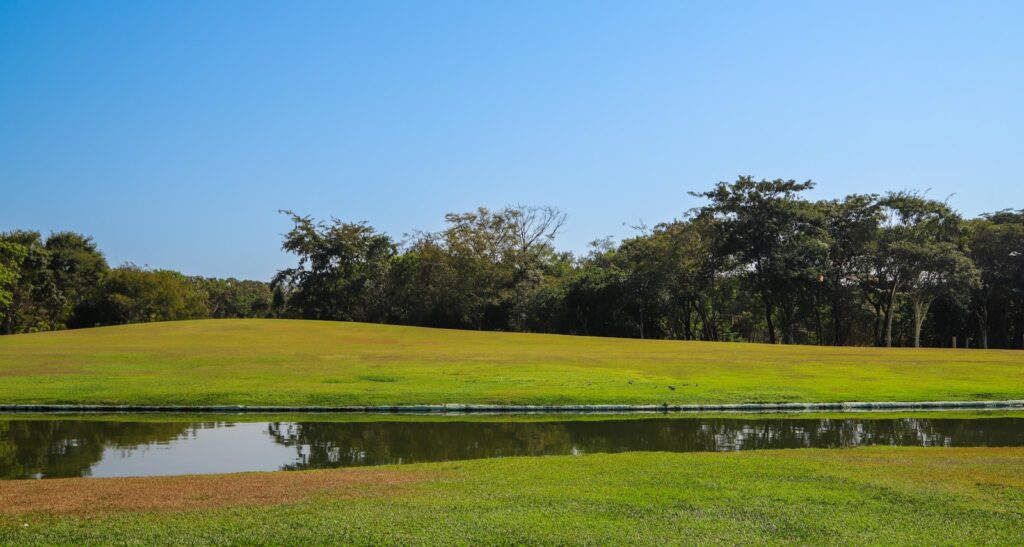 Paisagem verde com lago no Parque da Cidade em Brasília, Distrito Federal.