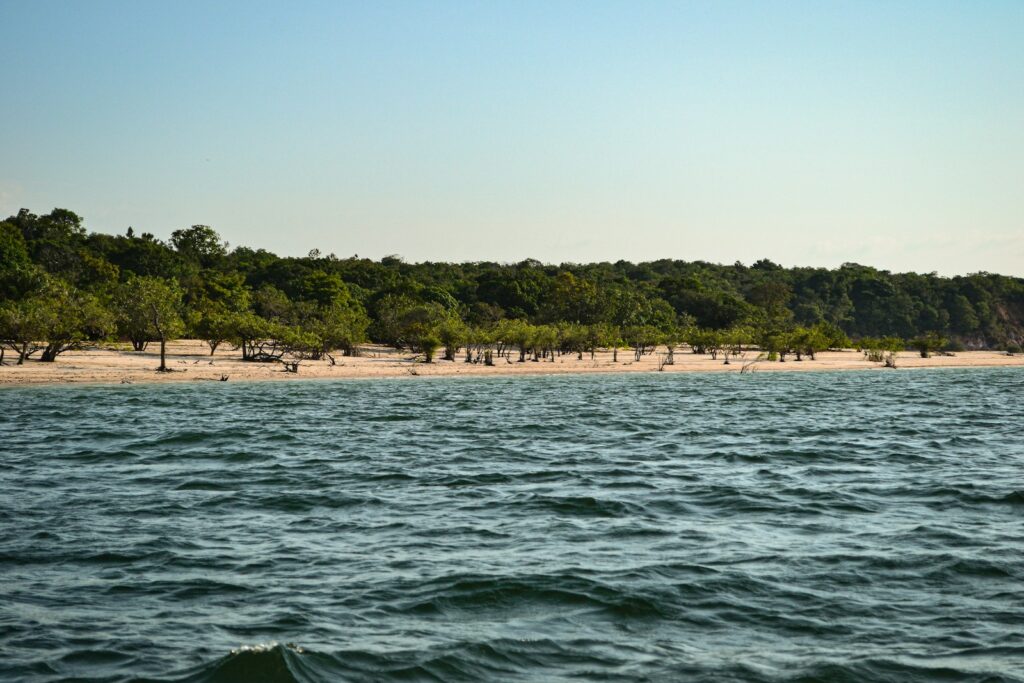 Praia de água doce com árvores submersas em Alter do Chão, no Pará.