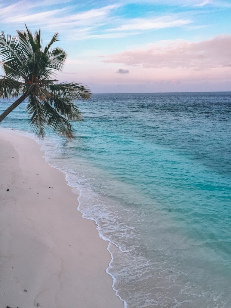 Praia paradisíaca com areia branca, mar azul turquesa calmo e um coqueiro inclinado sobre a água durante o entardecer.