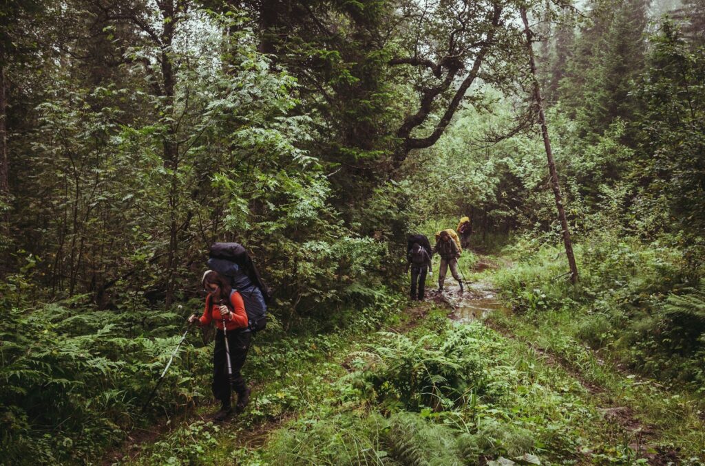 Grupo de mochileiros caminhando em trilha de terra cercada por árvores, praticando ecoturismo.