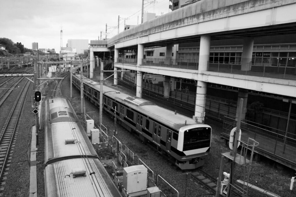 Two trains at a station platform in black and white.