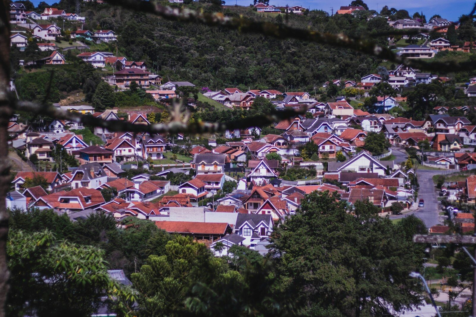 A hillside town is densely packed with houses.