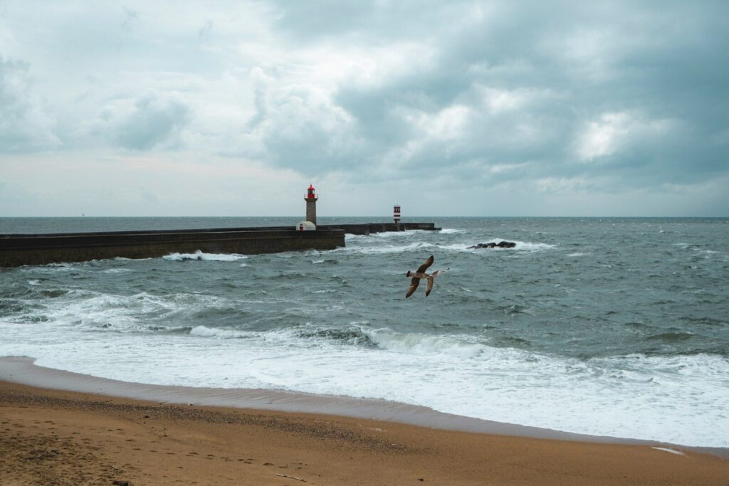 A person standing on a beach next to the ocean