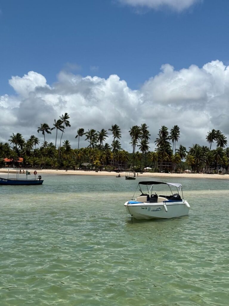 Scenic view of a tropical beach with palm trees, boats, and clear blue sky.