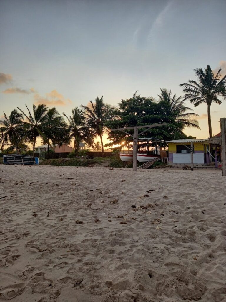A beach with a volleyball net and palm trees