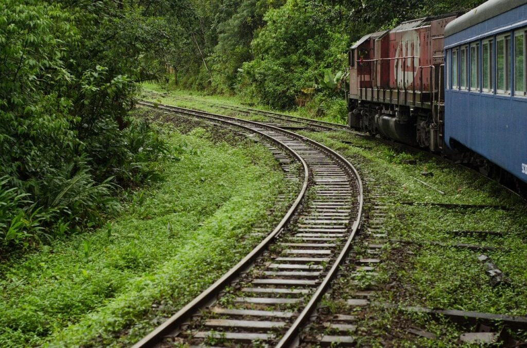 train, curitiba, morretes, atlantic forest, rails, upgrade, ride, brazil, curitiba, morretes, morretes, morretes, morretes, morretes, upgrade