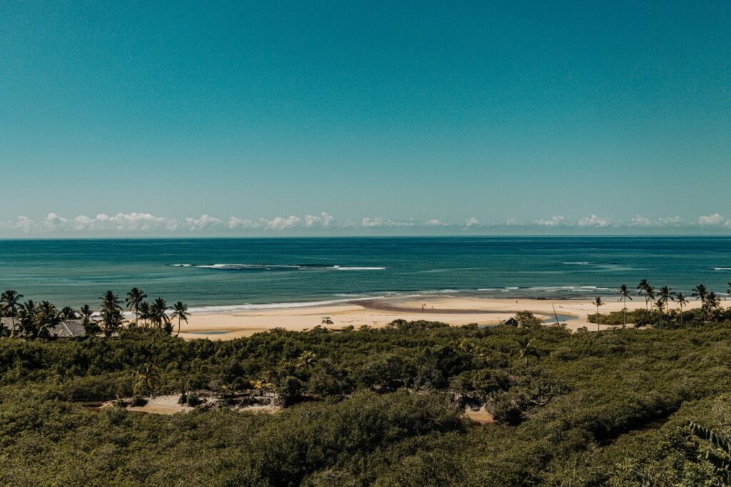Explore the serene and scenic beach with lush greenery in Porto Seguro, Brazil.