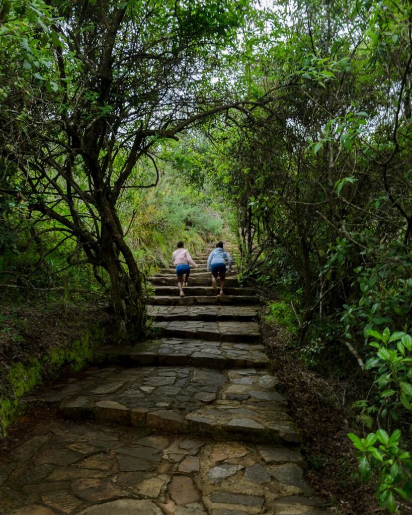two people walking up a stone staircase