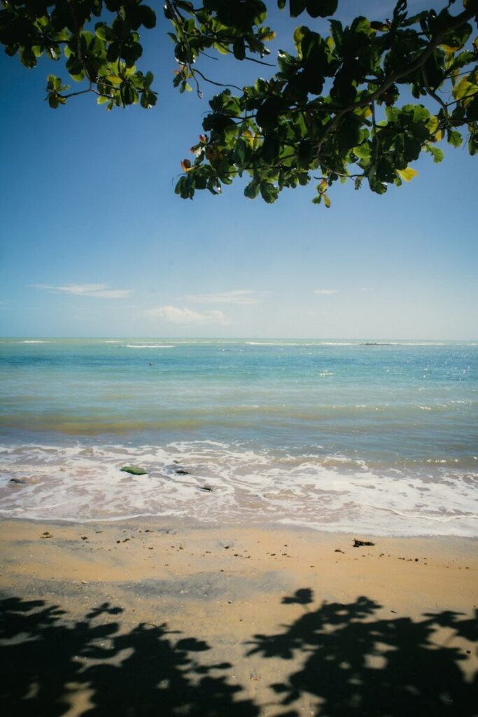 Calm ocean waves lap a sandy beach under blue sky.